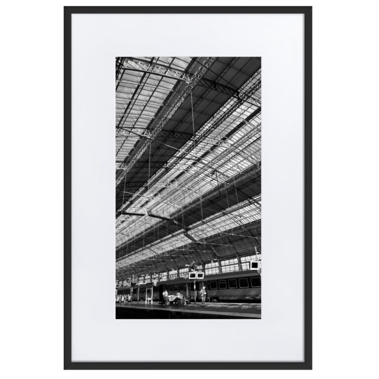 matte-paper-framed-poster-with-mat-cm-black-61x91-cm-transparent-66389e03890f4